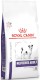 ROYAL CANIN VCN NEUTERED ADULT Small Dog Canine 3,5kg
