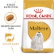 ROYAL CANIN Maltese Maltańczyk Adult 1,5kg