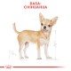 ROYAL CANIN Chihuahua Adult 500g