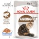 ROYAL CANIN Ageing 12+ w galaretce 85g