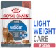 ROYAL CANIN Light Weight Care w sosie 85g
