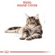 ROYAL CANIN Maine Coon Adult 10kg