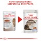 ROYAL CANIN Ageing 12+ w galaretce 85g