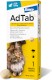 Elanco ADTAB Cat Tabletka na pchły kleszcze dla kota 2-8kg