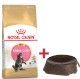 ROYAL CANIN Maine Coon Kitten 10kg + GRATIS Miska!!!