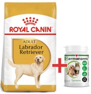 ROYAL CANIN Labrador Retriever Adult 12kg + EXTRA GRATIS za 50zł !