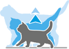 Karma ROYAL CANIN dla kota tanio
