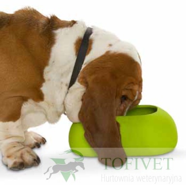 Miska Incredibowl idealna dla psów długouchych i otyłych
