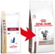 ROYAL CANIN VET HEPATIC Feline 4kg