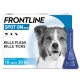 FRONTLINE Spot-On Krople na kleszcze dla psa M 10-20kg 1szt.
