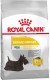 ROYAL CANIN Mini Dermacomfort 8kg