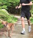 TRIXIE Smycz do joggingu Dog Activity 0,9-1,3m