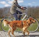 TRIXIE Smycz na rower i do joggingu Dog Activity