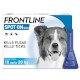 FRONTLINE Spot-On Krople na kleszcze dla psa M 10-20kg 3szt.