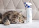 VET EXPERT Cat Odor Eliminator odorów kotów 500ml