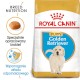 ROYAL CANIN Golden Retriever Puppy 1kg