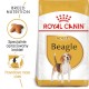 ROYAL CANIN Beagle Adult 12kg