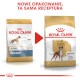 ROYAL CANIN Boxer Adult 12kg