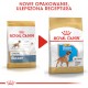 ROYAL CANIN Boxer Puppy 12kg
