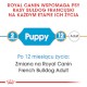 ROYAL CANIN French Bulldog Francuski Puppy 10kg