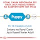 ROYAL CANIN Jack Russell Terrier Puppy 1,5kg