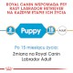 ROYAL CANIN Labrador Retriever Puppy 12kg