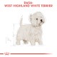 ROYAL CANIN West Highland White Terrier Adult 500g