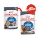 ROYAL CANIN Light Weight Care w sosie 12 x 85g