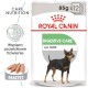 ROYAL CANIN Digestive Care w pasztecie 12 x 85g