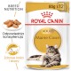 ROYAL CANIN Maine Coon Adult w sosie 85g