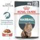 ROYAL CANIN Hairball Care w sosie 12 x 85g