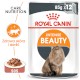 ROYAL CANIN Intense Beauty Care w sosie 12 x 85g