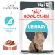 ROYAL CANIN Urinary Care w sosie 12 x 85g