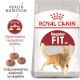 ROYAL CANIN FIT 32 400g