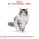 ROYAL CANIN NORWEGIAN FOREST CAT Adult 400g