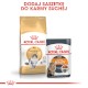 ROYAL CANIN NORWEGIAN FOREST CAT Adult 2kg