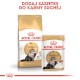 ROYAL CANIN PERSIAN Adult 400g