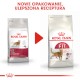 ROYAL CANIN FIT 32 400g