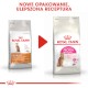 ROYAL CANIN Exigent Protein Preference 10kg