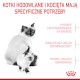 ROYAL CANIN Mother / BABYCAT 4kg + GRATIS Miska!!!