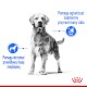 ROYAL CANIN Maxi Light Weight Care 12kg