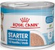 ROYAL CANIN Starter Mother / Babydog Mousse 12 x 195g