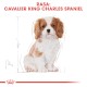 ROYAL CANIN Cavalier King Charles Puppy 1,5kg