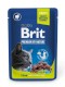 BRIT PREMIUM POUCHES LAMB FOR STERILIZED saszetka 100g