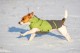 KERBL Pet Płaszcz dla psa Vancouver XS