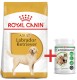 ROYAL CANIN Labrador Retriever Adult 12kg + EXTRA GRATIS za 50zł !