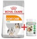Royal Canin Mini Coat Care 8kg + EXTRA GRATIS za 50zł !