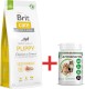 Brit Care Dog Sustainable Puppy Chicken Insect 12kg + EXTRA GRATIS za 50zł !