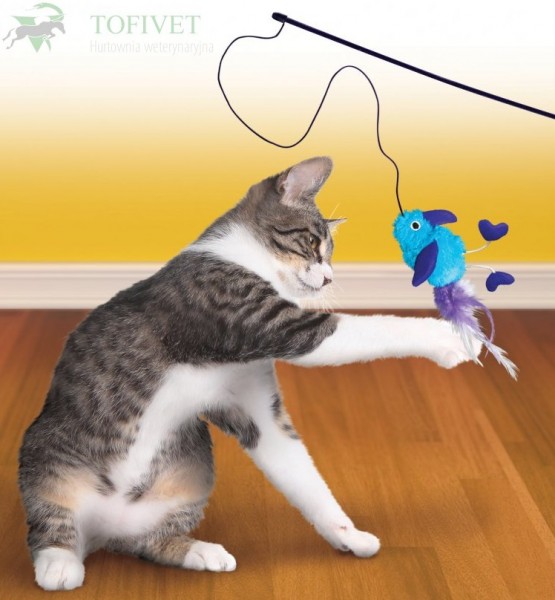 Zabawka dla kota KONG Cat Feather Teaser