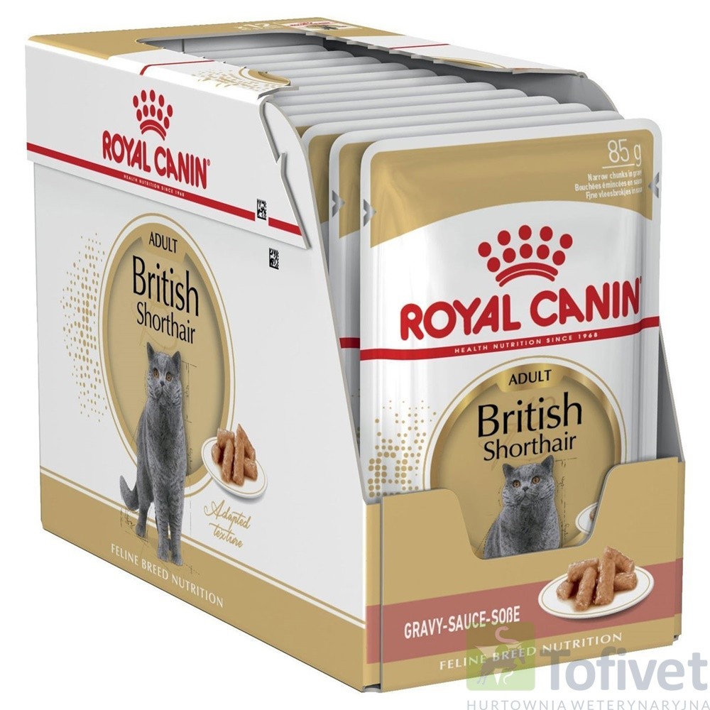 ROYAL CANIN British Shorthair Adult Saszetka dla dorosłego kota